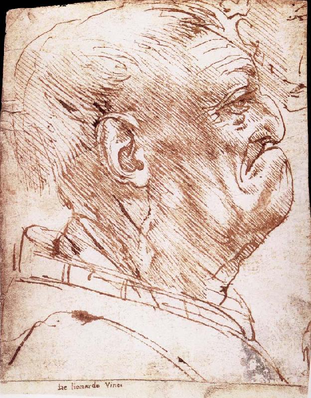 LEONARDO da Vinci Grotesque profile of a man china oil painting image
